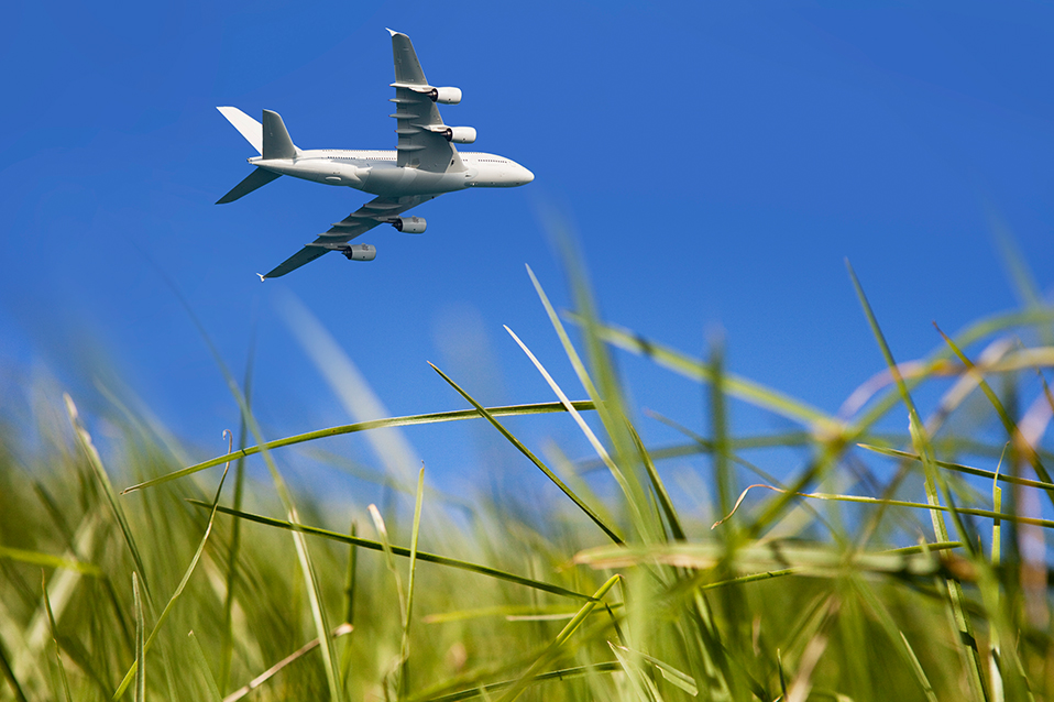 Airplane viewed from a meadow below (refer to: Accounting of biofuels in the EU ETS Aviation)