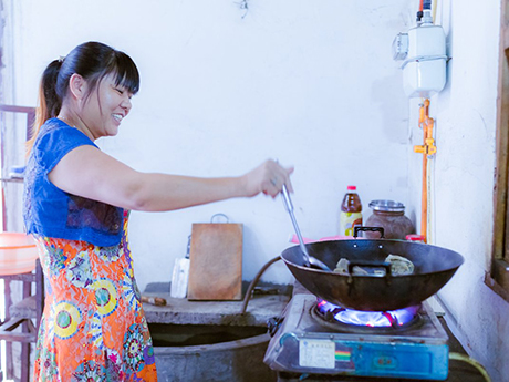 cooking with household biogas